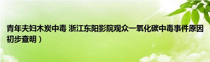 青年夫妇木炭中毒 浙江东阳影院观众一氧化碳中毒事件原因初步查明）