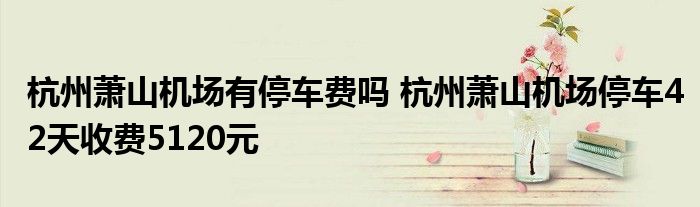 杭州萧山机场有停车费吗 杭州萧山机场停车42天收费5120元
