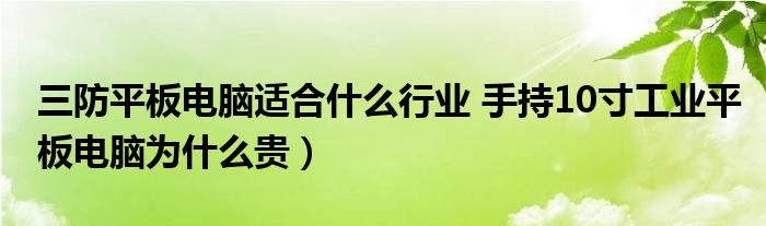 三防平板电脑适合什么行业 手持10寸工业平板电脑为什么贵）