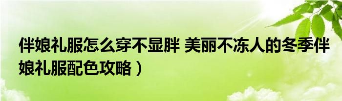 伴娘礼服怎么穿不显胖 美丽不冻人的冬季伴娘礼服配色攻略）