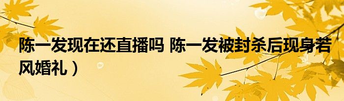 陈一发现在还直播吗 陈一发被封杀后现身若风婚礼）