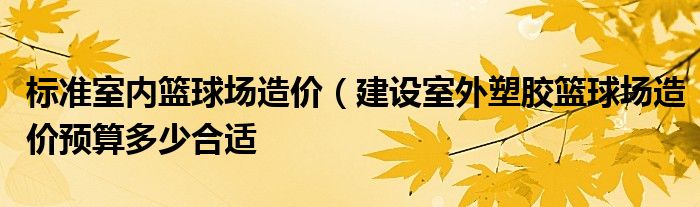 标准室内篮球场造价（建设室外塑胶篮球场造价预算多少合适