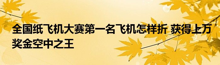 全国纸飞机大赛第一名飞机怎样折 获得上万奖金空中之王