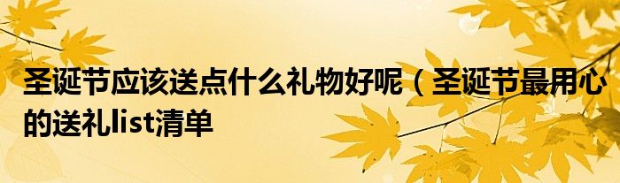 圣诞节应该送点什么礼物好呢（圣诞节最用心的送礼list清单