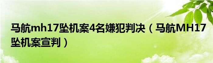 马航mh17坠机案4名嫌犯判决（马航MH17坠机案宣判）