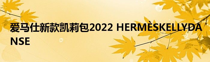 爱马仕新款凯莉包2022 HERMÈSKELLYDANSE