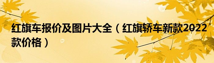 红旗车报价及图片大全（红旗轿车新款2022款价格）