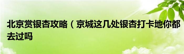 北京赏银杏攻略（京城这几处银杏打卡地你都去过吗