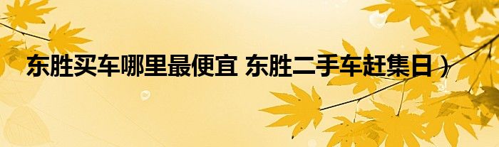 东胜买车哪里最便宜 东胜二手车赶集日）