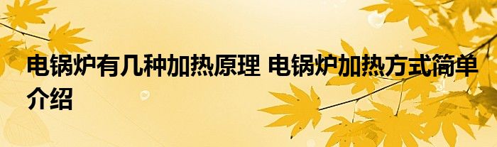 电锅炉有几种加热原理 电锅炉加热方式简单介绍