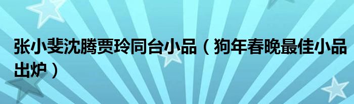 张小斐沈腾贾玲同台小品（狗年春晚最佳小品出炉）