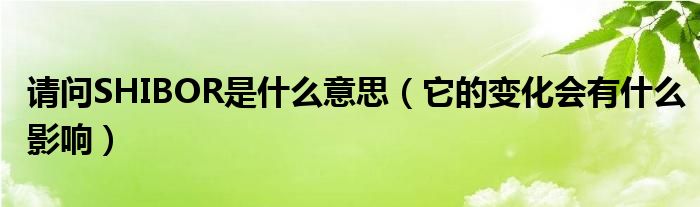 请问SHIBOR是什么意思（它的变化会有什么影响）