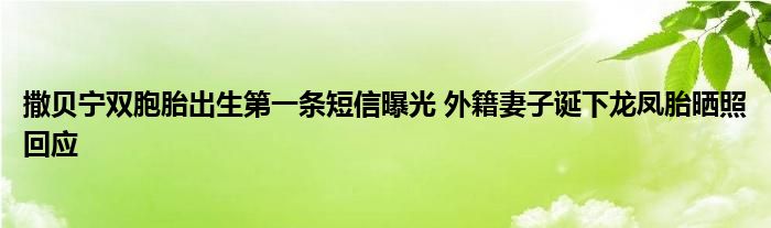 撒贝宁双胞胎出生第一条短信曝光 外籍妻子诞下龙凤胎晒照回应