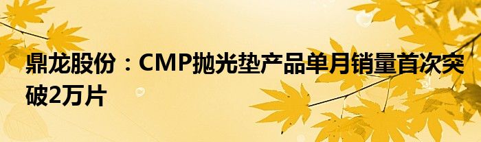 鼎龙股份：CMP抛光垫产品单月销量首次突破2万片