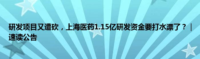 研发项目又遭砍，上海医药1.15亿研发资金要打水漂了？｜速读公告