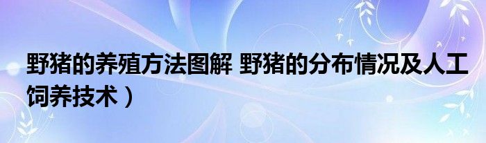 野猪的养殖方法图解 野猪的分布情况及人工饲养技术）