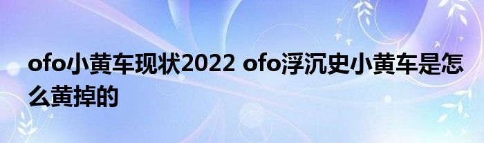 ofo小黄车现状2022 ofo浮沉史小黄车是怎么黄掉的