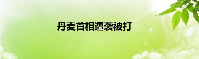 丹麦首相遭袭被打