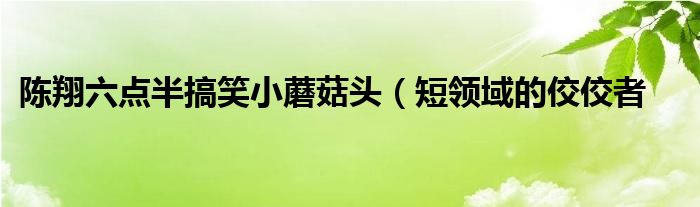 陈翔六点半搞笑小蘑菇头（短领域的佼佼者