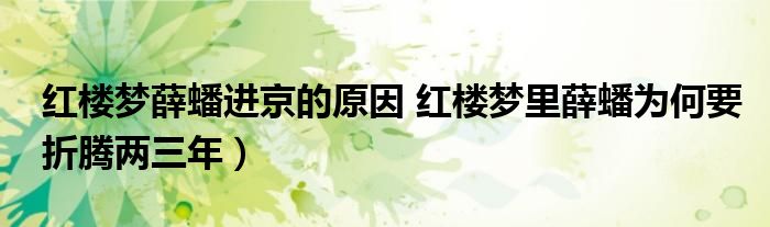 红楼梦薛蟠进京的原因 红楼梦里薛蟠为何要折腾两三年）