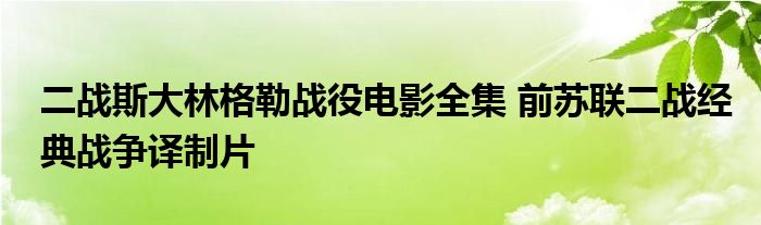 二战斯大林格勒战役电影全集 前苏联二战经典战争译制片