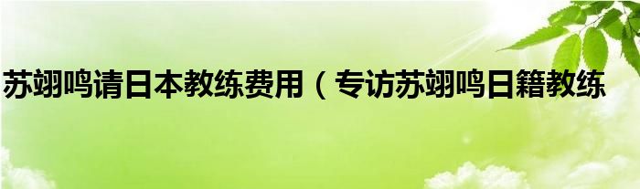 苏翊鸣请日本教练费用（专访苏翊鸣日籍教练