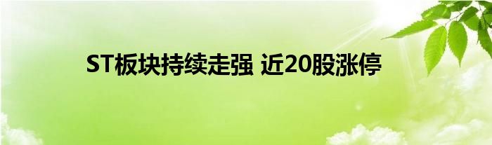 ST板块持续走强 近20股涨停