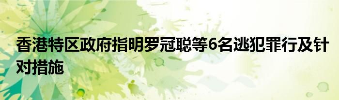 香港特区政府指明罗冠聪等6名逃犯罪行及针对措施