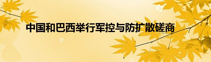 中国和巴西举行军控与防扩散磋商