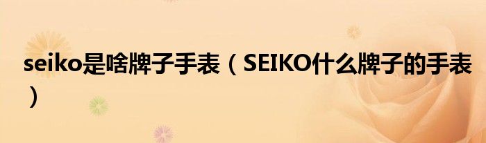 seiko是啥牌子手表（SEIKO什么牌子的手表）