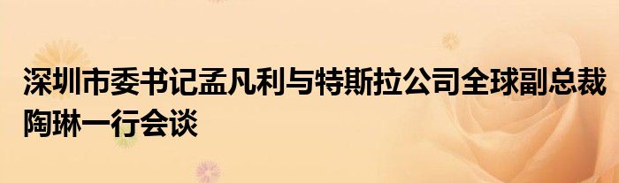 深圳市委书记孟凡利与特斯拉公司全球副总裁陶琳一行会谈