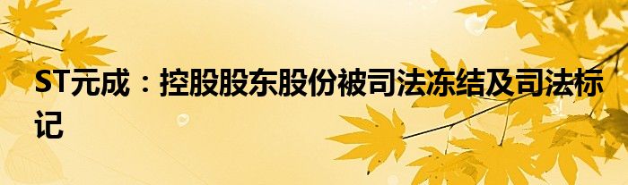 ST元成：控股股东股份被司法冻结及司法标记