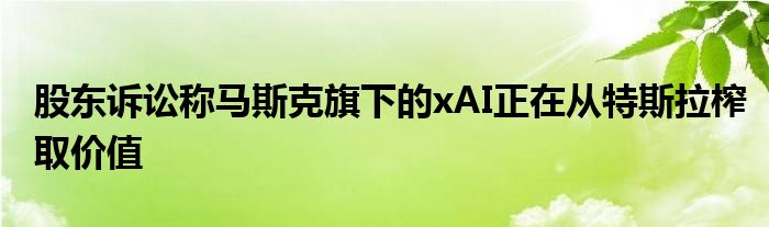 股东诉讼称马斯克旗下的xAI正在从特斯拉榨取价值