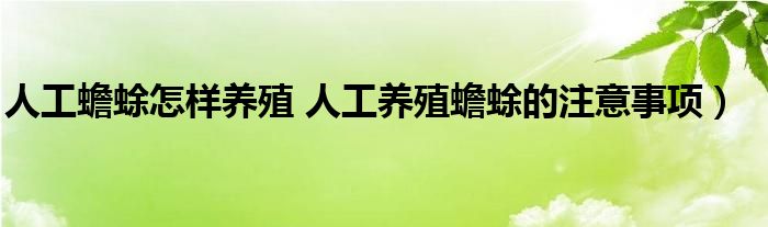 人工蟾蜍怎样养殖 人工养殖蟾蜍的注意事项）