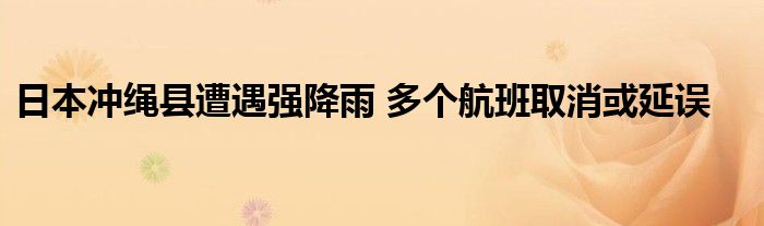 日本冲绳县遭遇强降雨 多个航班取消或延误