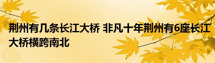 荆州有几条长江大桥 非凡十年荆州有6座长江大桥横跨南北