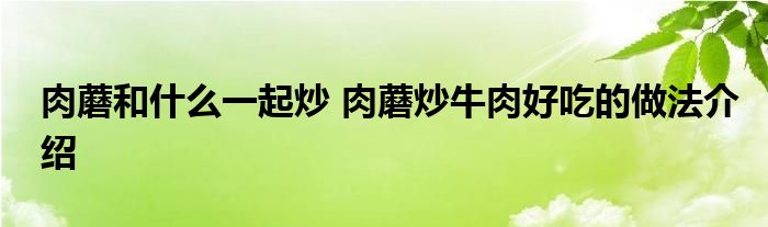 肉蘑和什么一起炒 肉蘑炒牛肉好吃的做法介绍