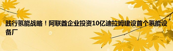 践行氢能战略！阿联酋企业投资10亿迪拉姆建设首个氢能设备厂