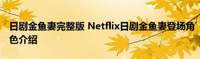 日剧金鱼妻完整版 Netflix日剧金鱼妻登场角色介绍