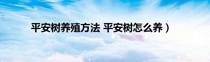 平安树养殖方法 平安树怎么养）