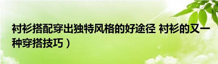 衬衫搭配穿出独特风格的好途径 衬衫的又一种穿搭技巧）