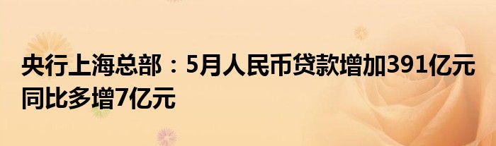 央行上海总部：5月人民币贷款增加391亿元 同比多增7亿元