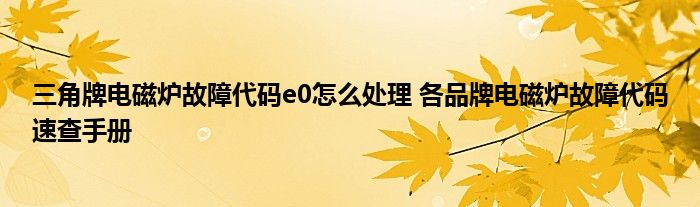 三角牌电磁炉故障代码e0怎么处理 各品牌电磁炉故障代码速查手册