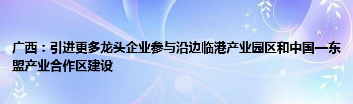 广西：引进更多龙头企业参与沿边临港产业园区和中国—东盟产业合作区建设