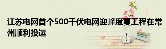 江苏电网首个500千伏电网迎峰度夏工程在常州顺利投运