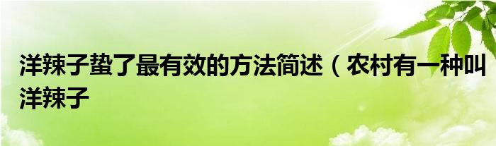 洋辣子蛰了最有效的方法简述（农村有一种叫洋辣子