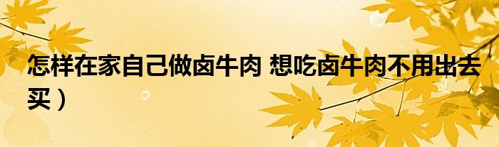 怎样在家自己做卤牛肉 想吃卤牛肉不用出去买）