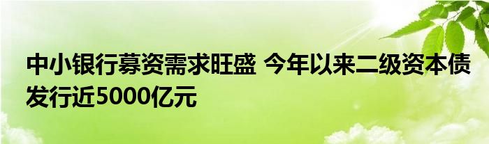 中小银行募资需求旺盛 今年以来二级资本债发行近5000亿元