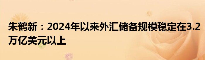 朱鹤新：2024年以来外汇储备规模稳定在3.2万亿美元以上