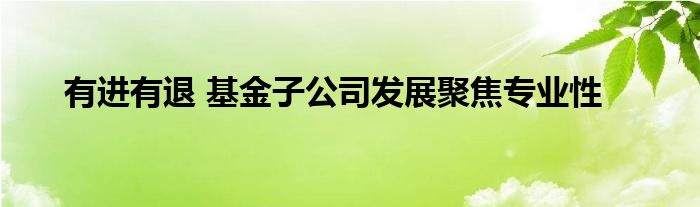 有进有退 基金子公司发展聚焦专业性